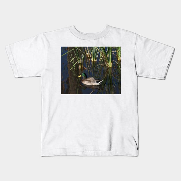 The Duck On The Pond At Papago Park Kids T-Shirt by KirtTisdale